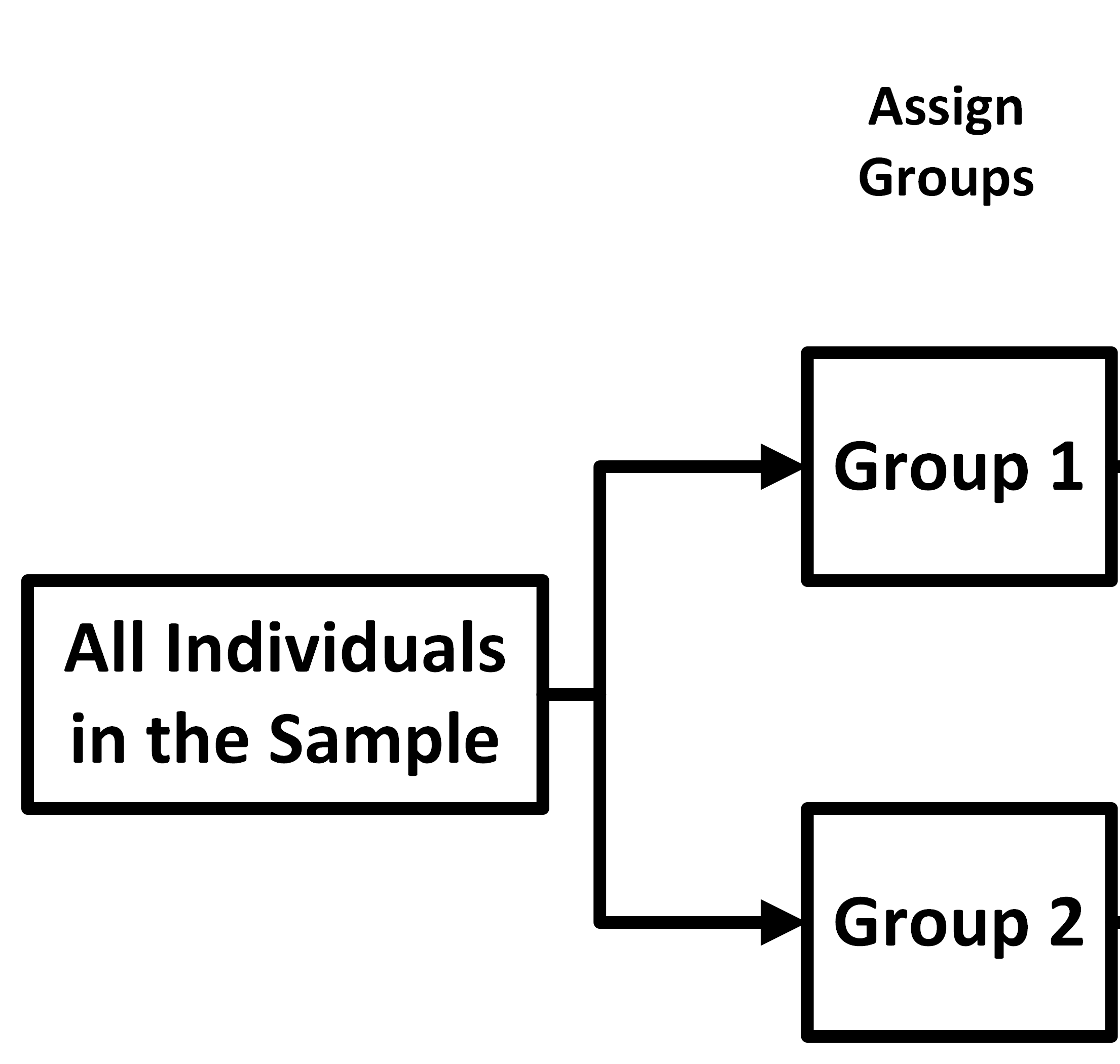 The participants are split evenly into two groups.